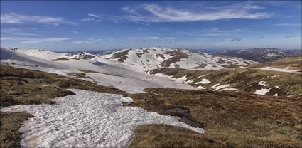 Near Rawsons Pass - Kosciuszko NP - NSW T (PBH4 00 10595)